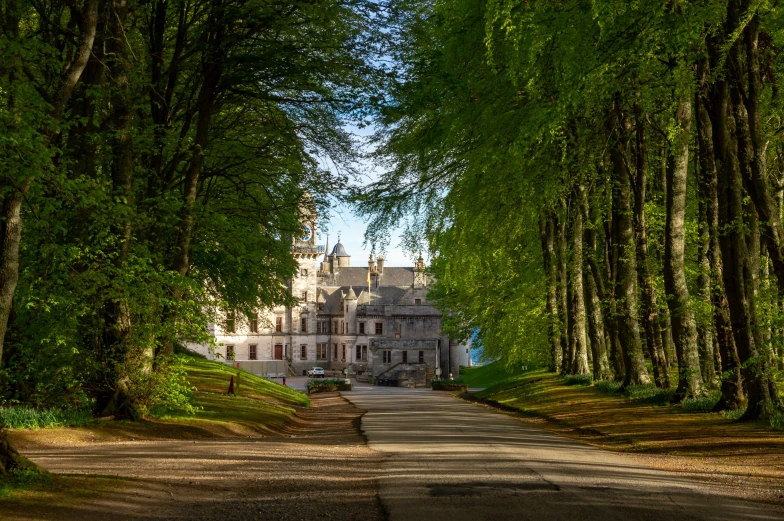 a road that is lined with trees next to a house