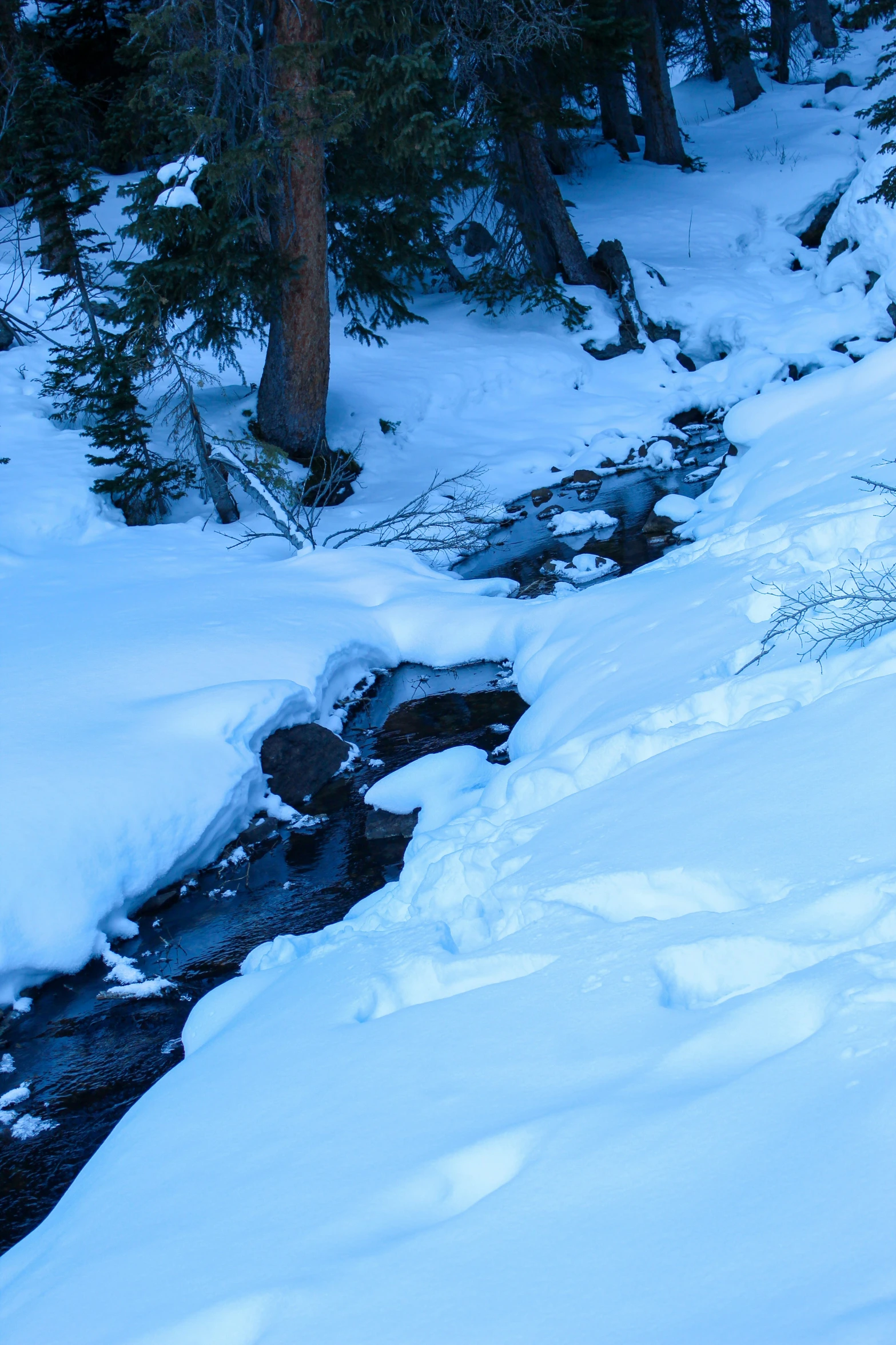 a man riding skis on top of snow covered ground