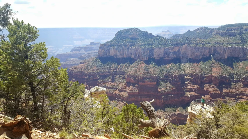 there are many rocks on the edge of a large cliff