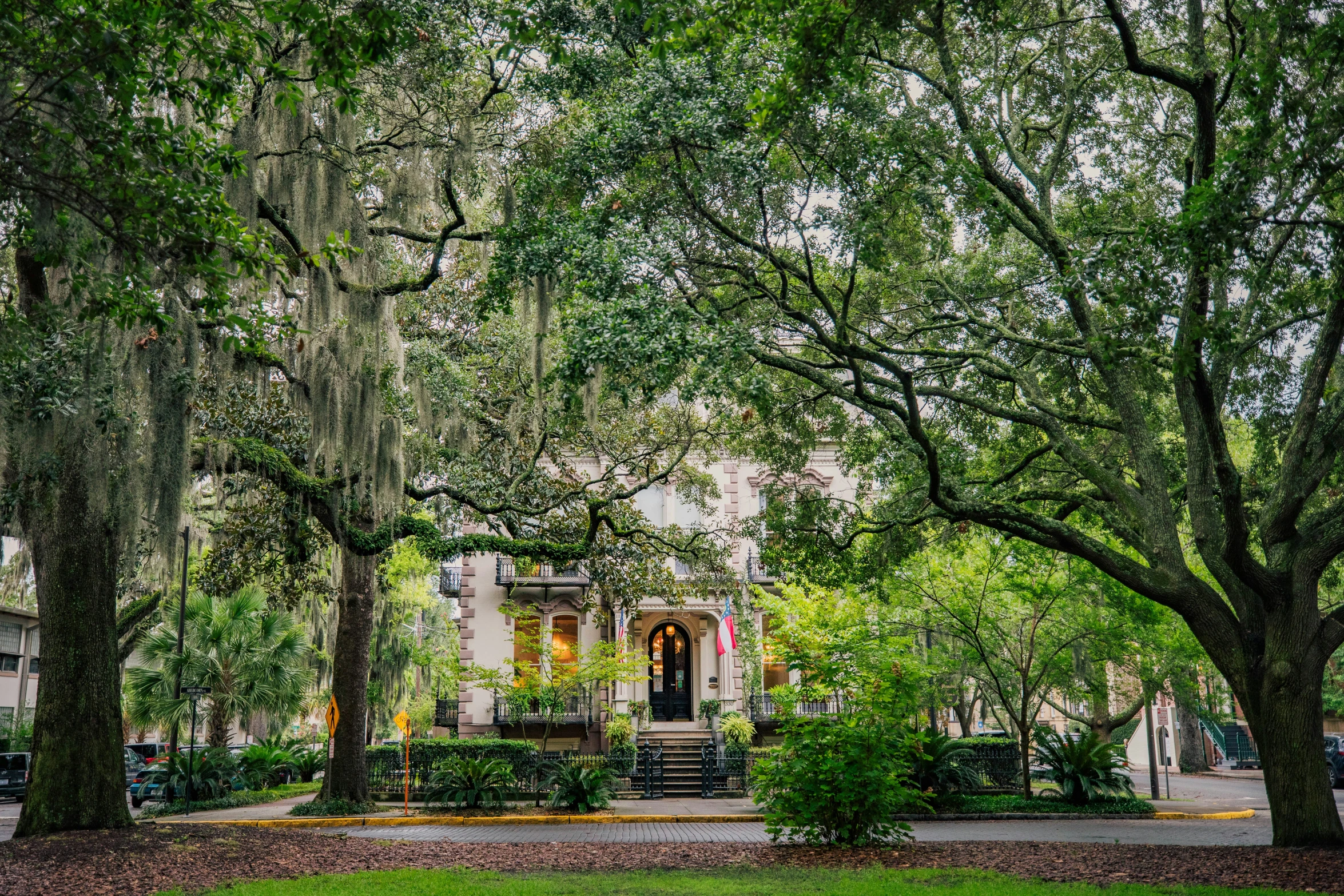 a beautiful green yard filled with lots of trees