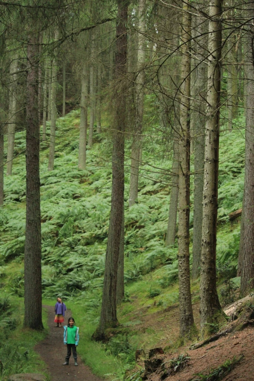 two people walking in the woods with a backpack