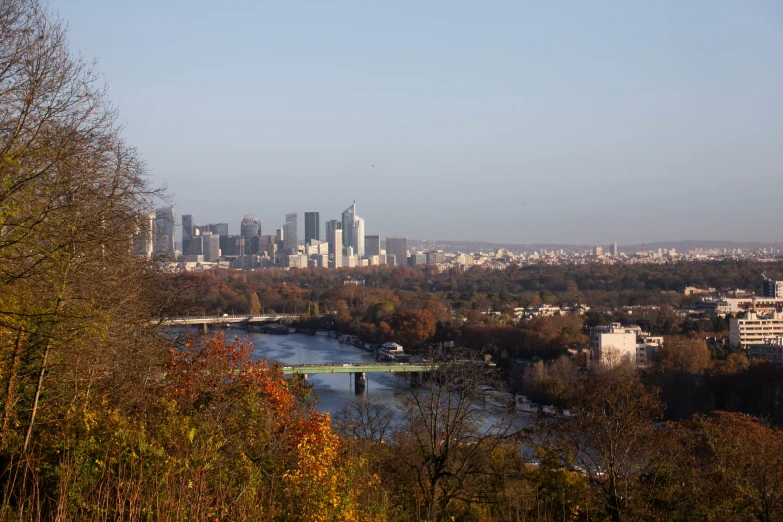 the city skyline is visible as it peeks out of the trees