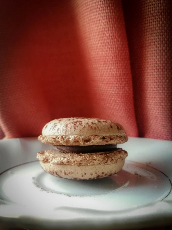 two cookies on a plate near a red cloth