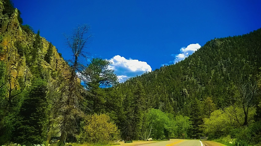 a long road is surrounded by trees, bushes and tall mountains