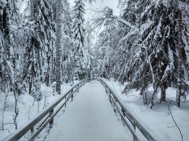 the long bridge has lots of snow on it