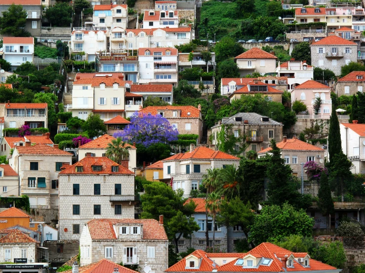 an image of several houses with red roof tops