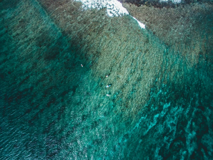 an aerial view of two people swimming in the water