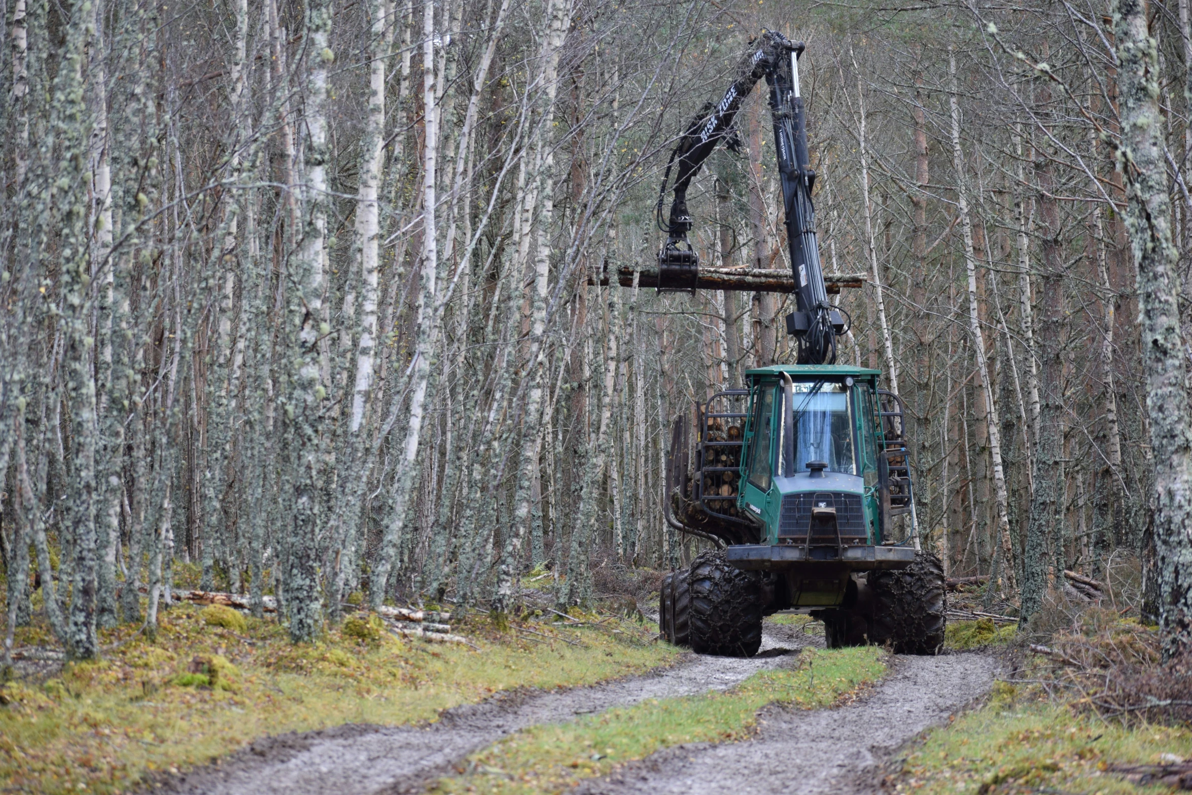 a truck with a crane lifting up the back wheel in the woods