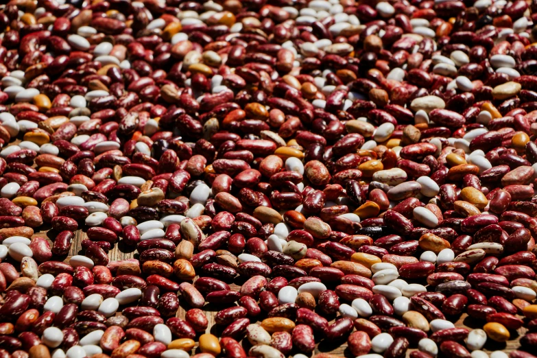 red beans and pine nuts scattered about on top of each other