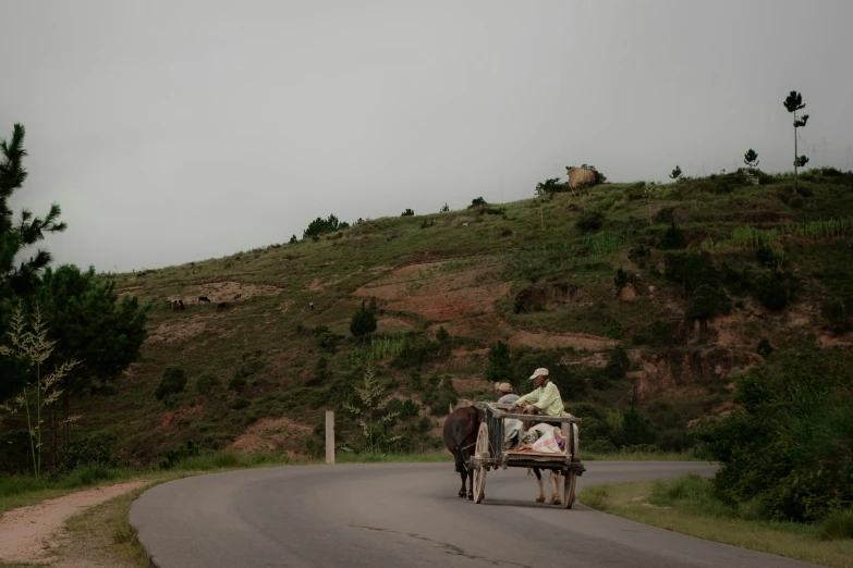 a couple of horses pulling a cart with people