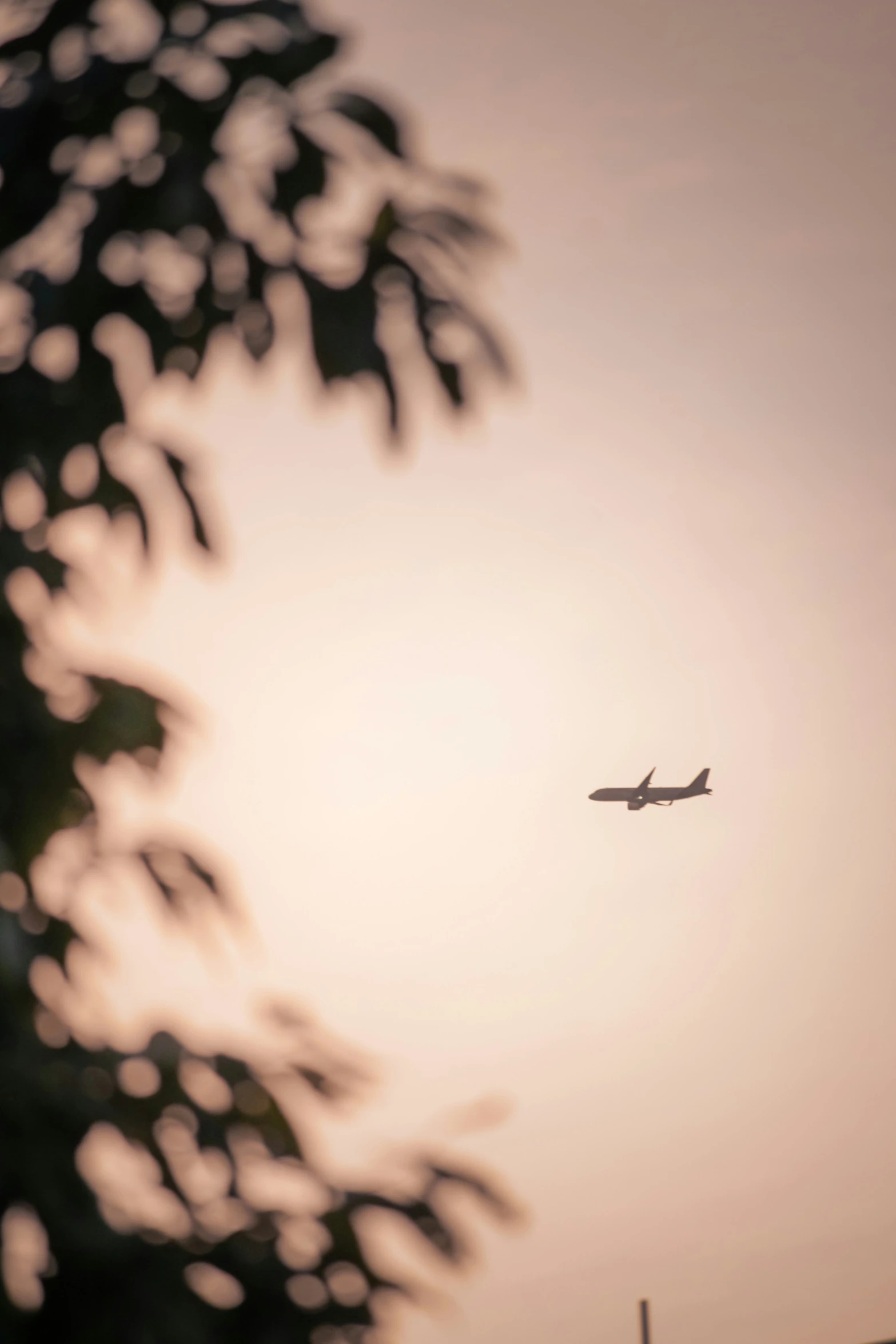 an airplane is flying in the sky at sunset