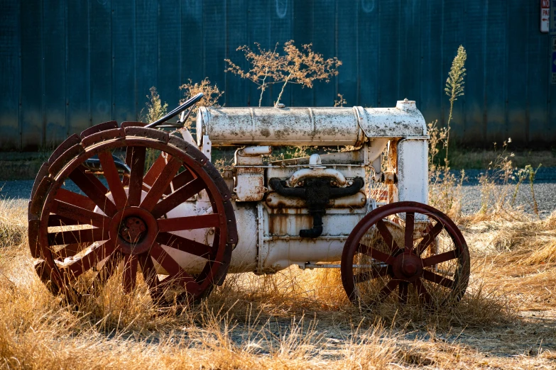 a rusty fire hydrant with some wheels parked in the grass