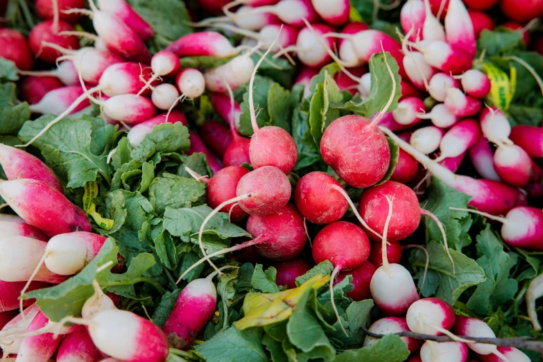 a pile of radishes are laying on the ground