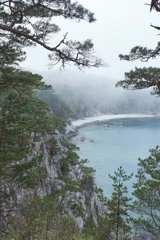 foggy beach looking down on the water