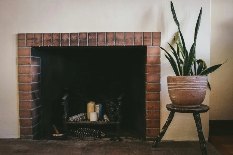 there is a potted plant near the fire place