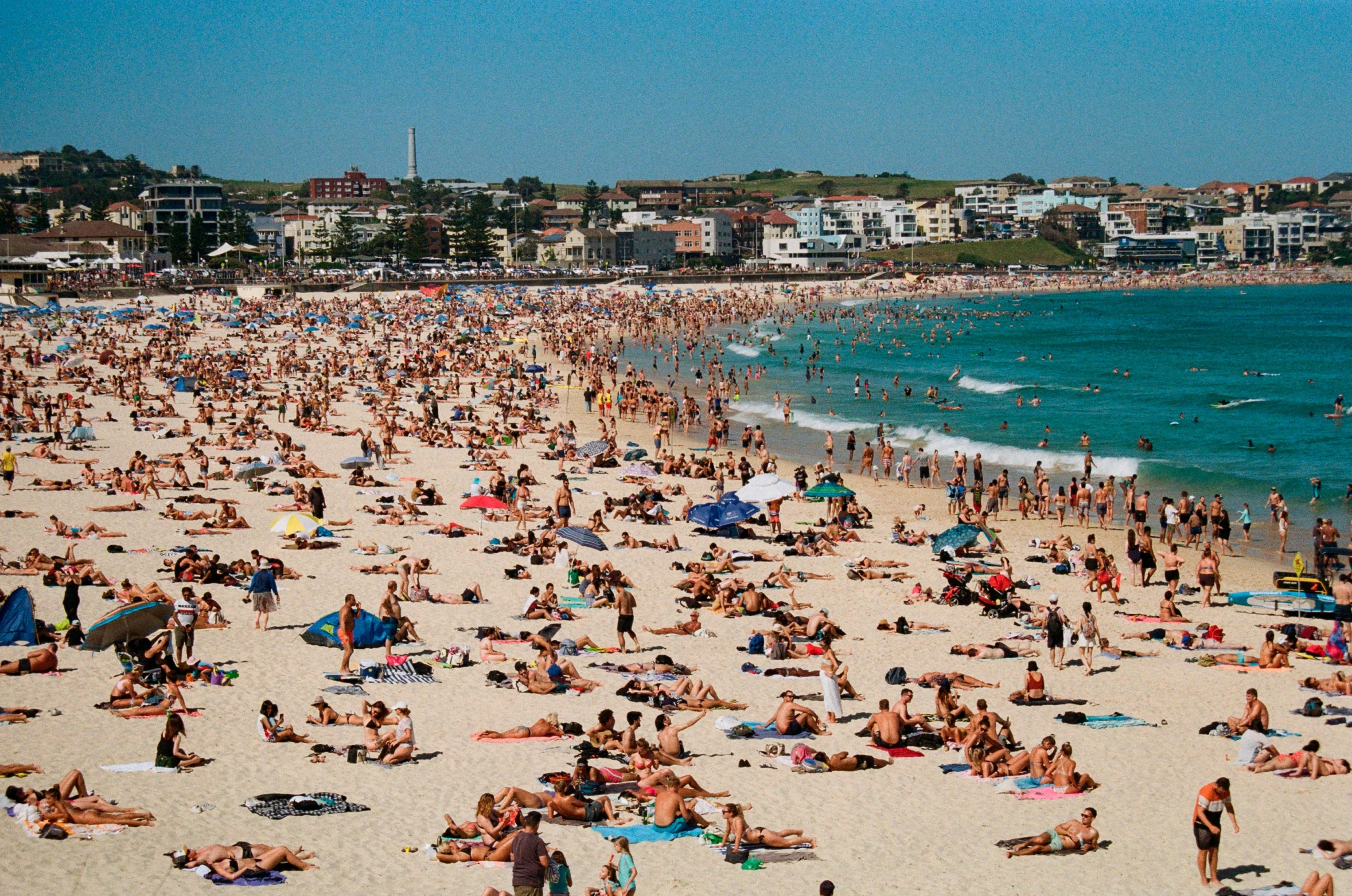 many people enjoying the sun and the water