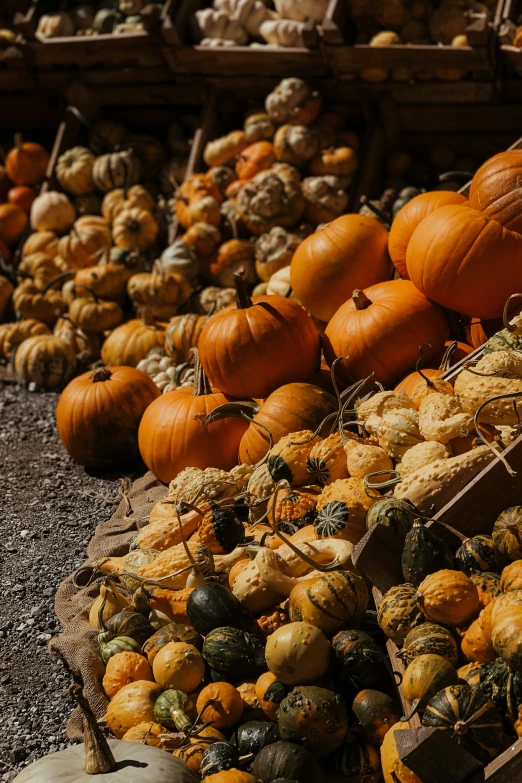 an arrangement of pumpkins and gourds at a farmer's market