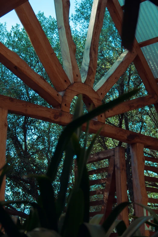 closeup of the wood structure at the park