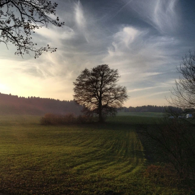 a view of a grassy field under a cloudy sky