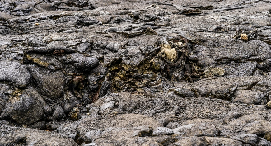 many small rocks with dirt on them