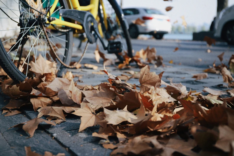 a bike is parked next to the pile of leaves