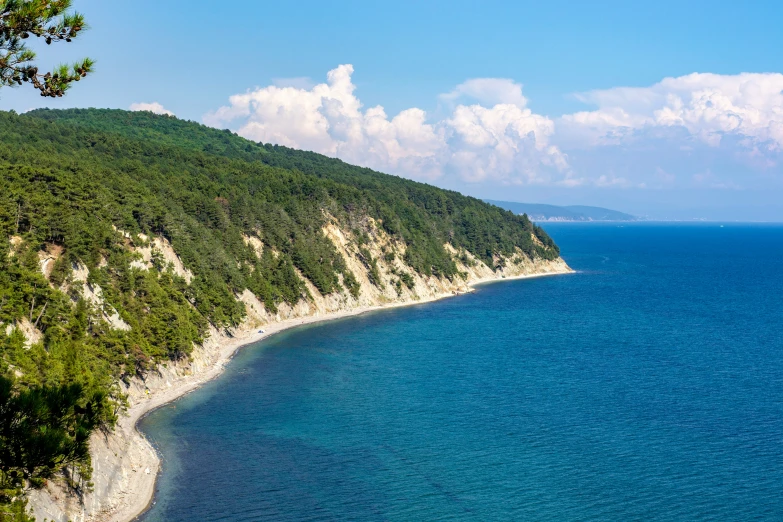 an ocean cliff with trees on both sides