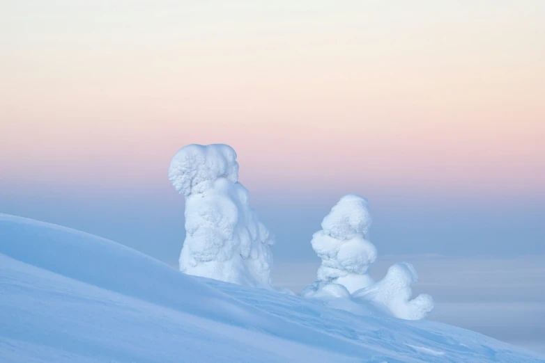 some white snow trees and one has it's head on