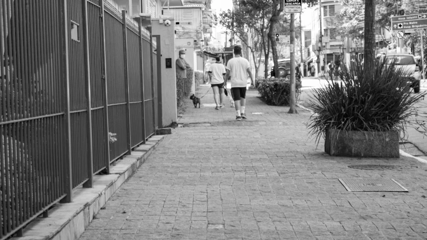 two people walk down the sidewalk in a neighborhood