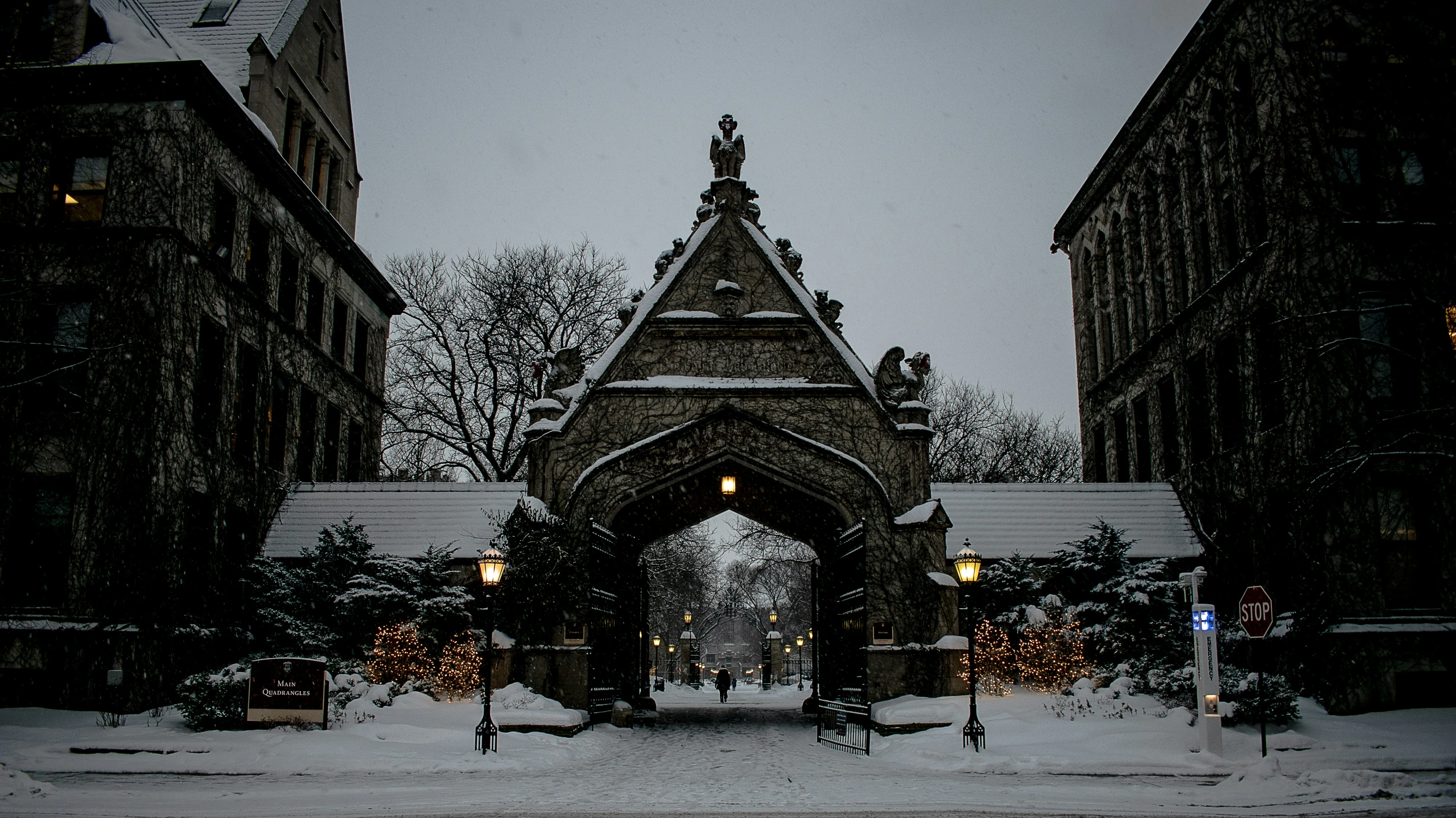 this is a snowy night with people walking and a building