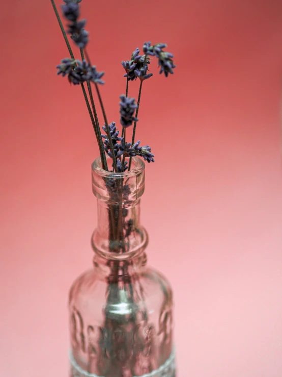 lavender flowers are poking up from the stems in a glass vase