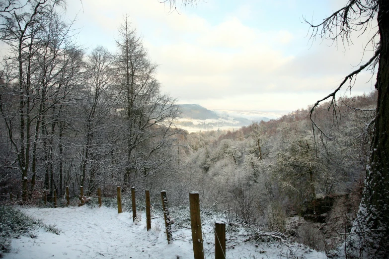 an open air area with snow and trees covered in snow