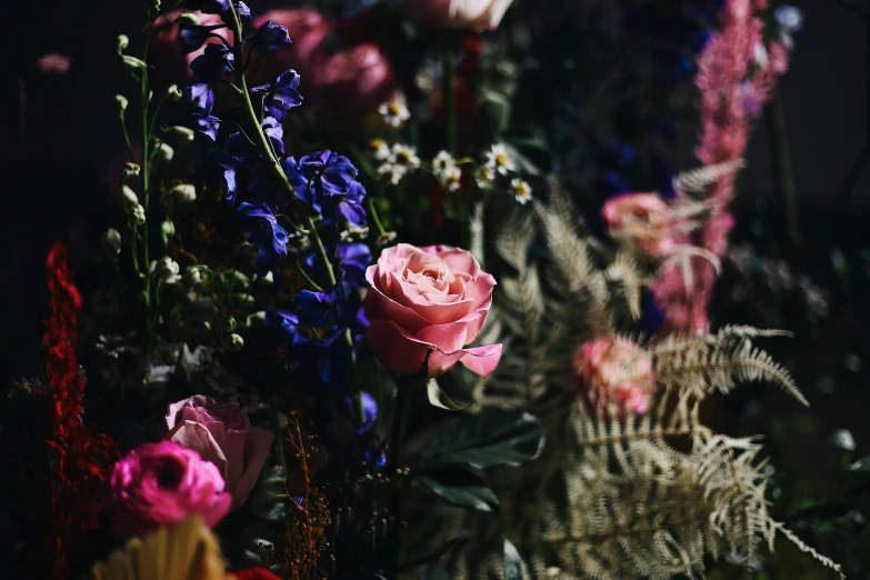 many different types of flowers in a dark background