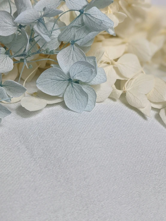 white flowers are set next to a light colored fabric