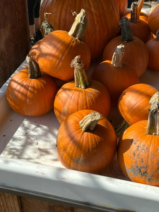 several pumpkins are stacked on a shelf outside