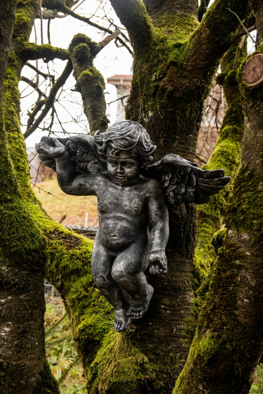 statue of an angel on tree trunk in outdoor setting