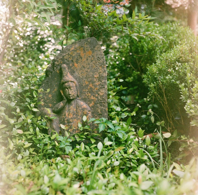 a statue that has trees around it