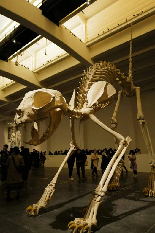 a human skeleton in a large building with lots of people around