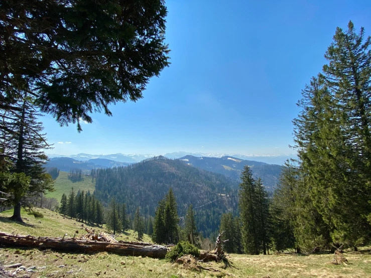 a mountain landscape that includes trees, a trail and hills