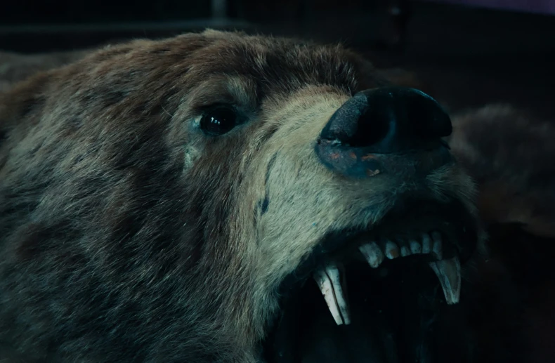 a large bear with its teeth open and the face partially lit up