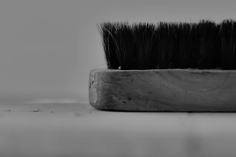 a black and white po of a brush on a counter