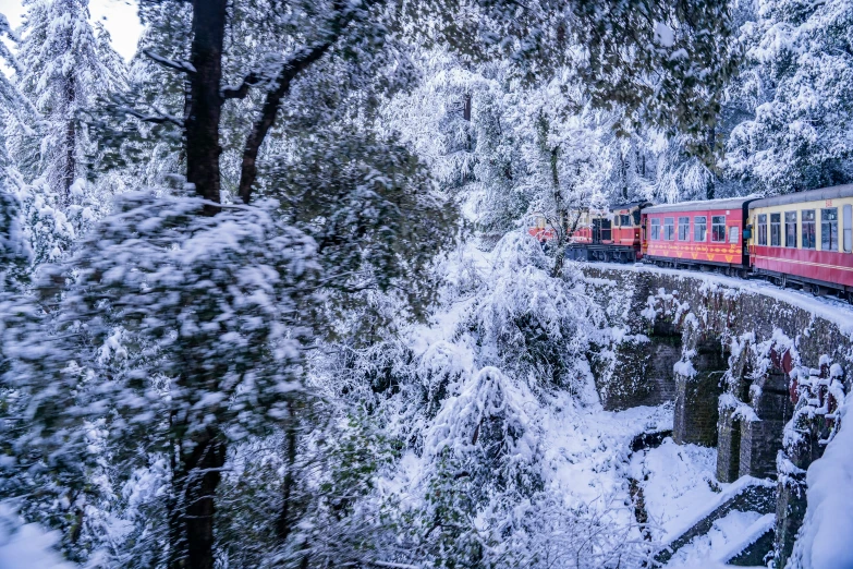 the train is traveling through the forest during winter