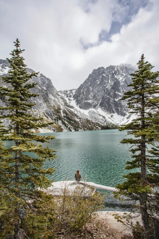 a person sitting in the distance next to a forest