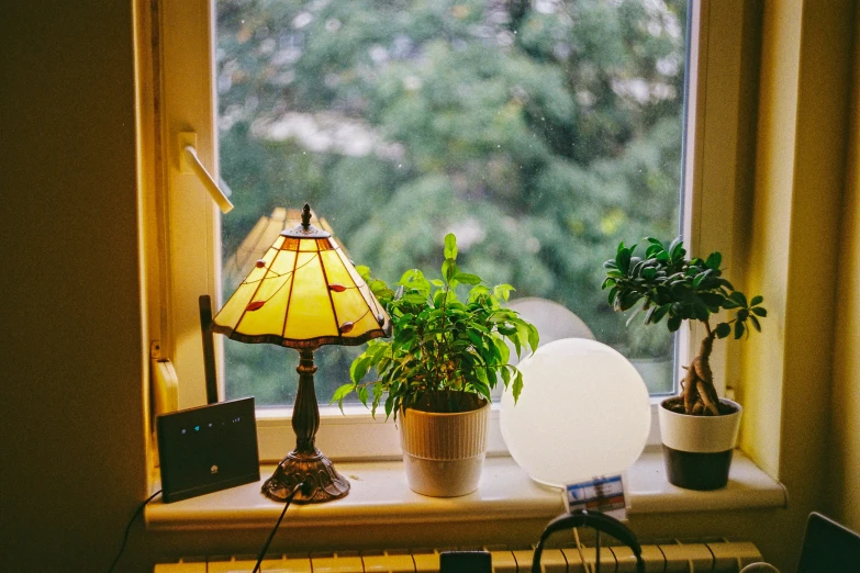 a lamp is sitting on top of a windowsill near plants and a potted plant