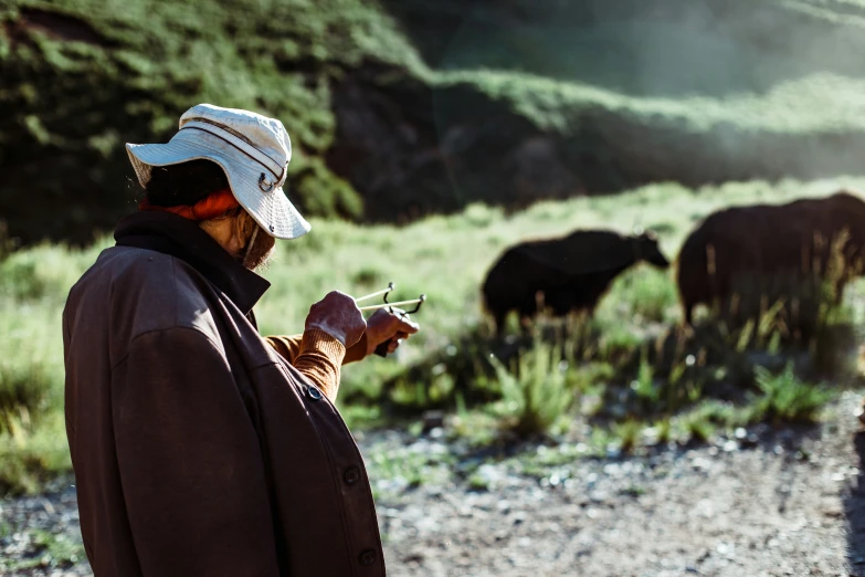 a person is smoking a cigarette while cows graze in the background