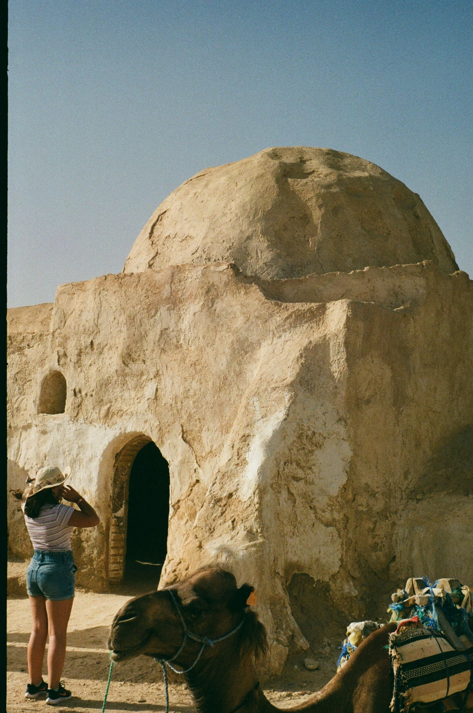 two camels standing next to a stone structure