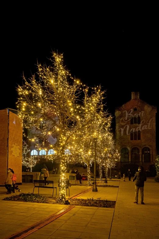 a man stands in the center of a tree covered with lit up lights