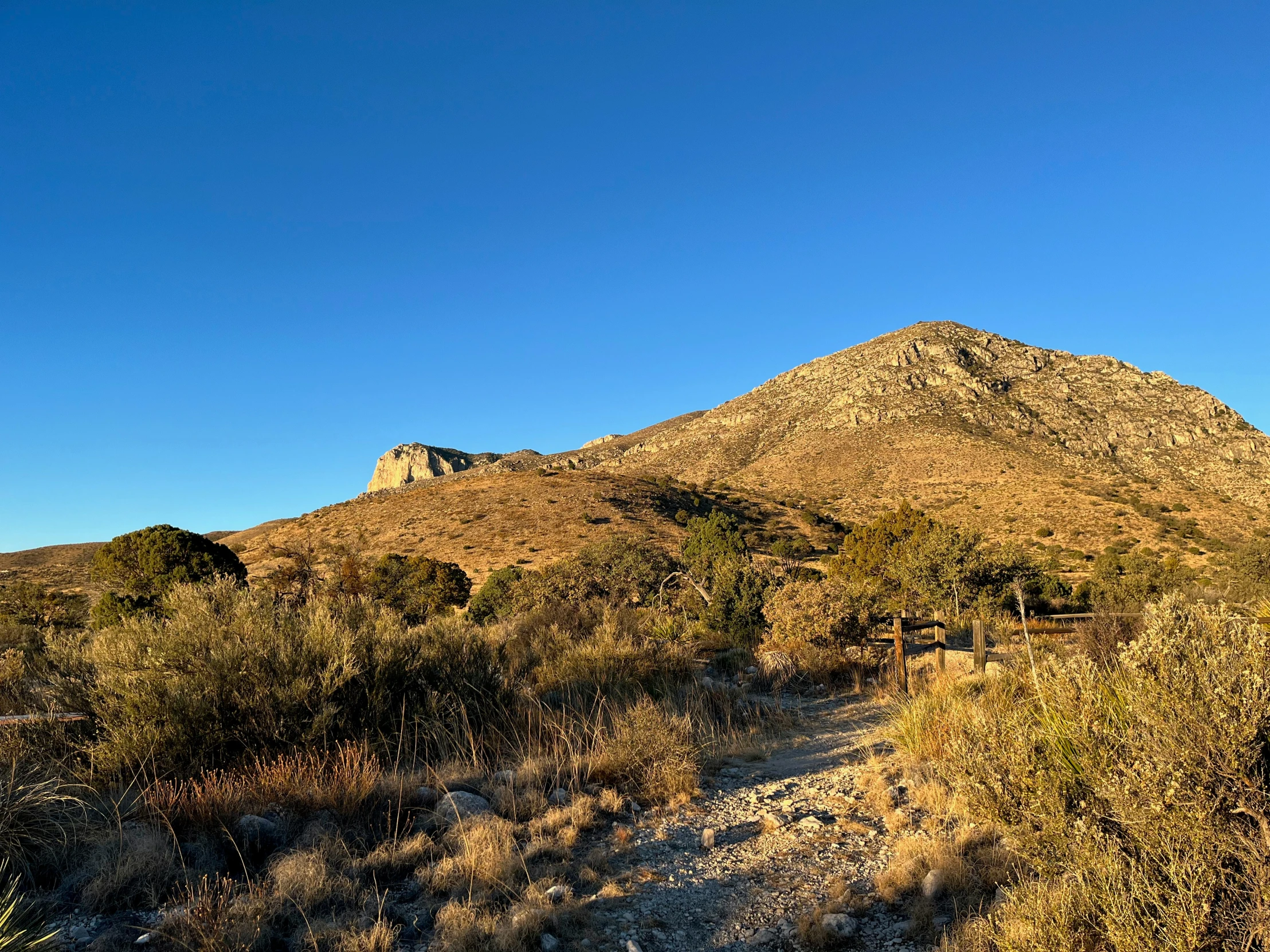 a view of a grassy area with a mountain in the background