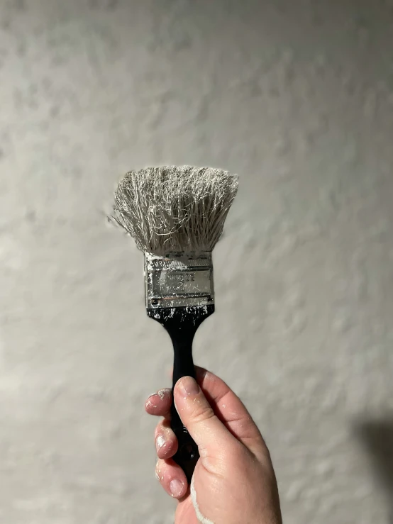 a man holding up a brush in his hand