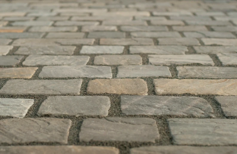 the dog's nose is laying on a cobblestone street