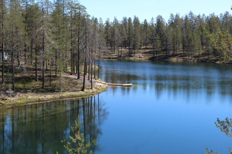 a long lake is shown surrounded by trees